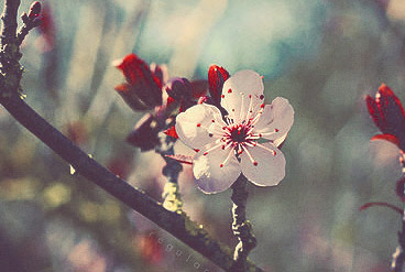 会员卡密购买的手机号在线轰炸测试