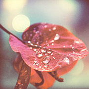 安卓短信轰炸机